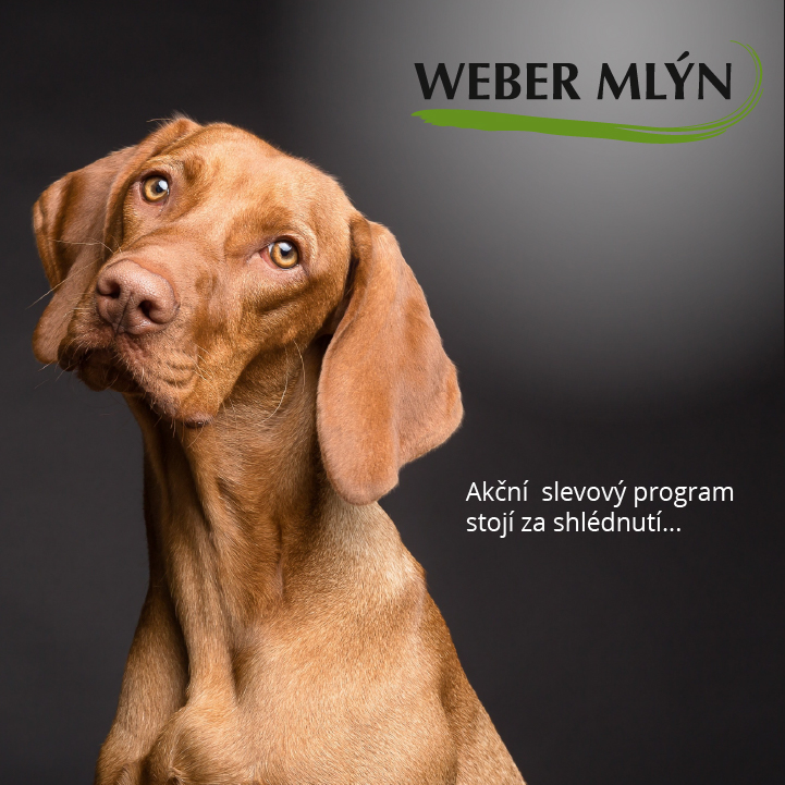 Maďarský ohař na černém pozadí z logem Weber mlýn