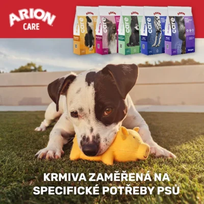 Černobíle štěně hrající si se žlutou hračkou a krmivy ARION